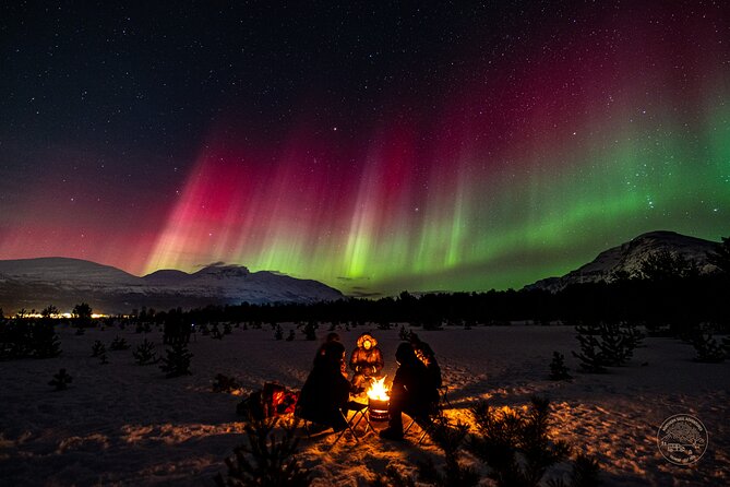 Small Group Van Journey in Search of the Northern Lights - Why this Tromso aurora trip works differently