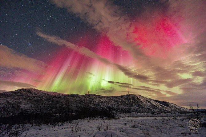 Small Group Van Journey in Search of the Northern Lights - How the aurora search unfolds
