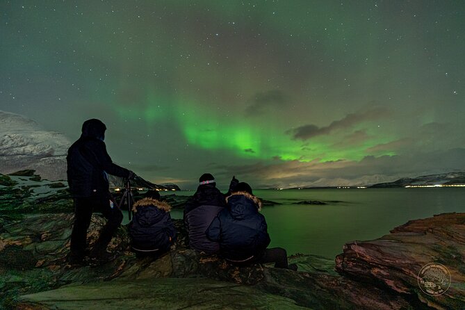 Small Group Van Journey in Search of the Northern Lights - Who should book this experience?