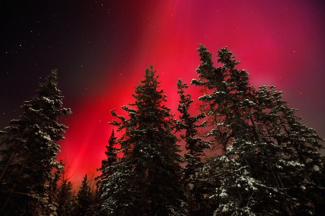 Small Group Yukon Aurora Viewing - Key Points at a Glance