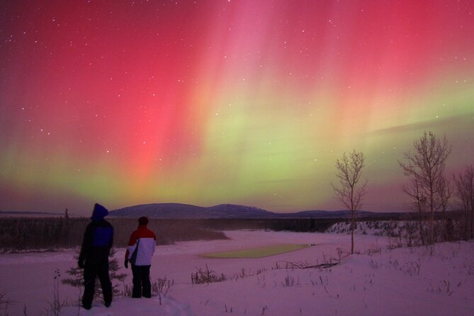 Small Group Yukon Aurora Viewing - Is $134.13 a Fair Price?
