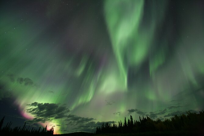 Small Group Yukon Aurora Viewing - Who Will Like This Experience Most?