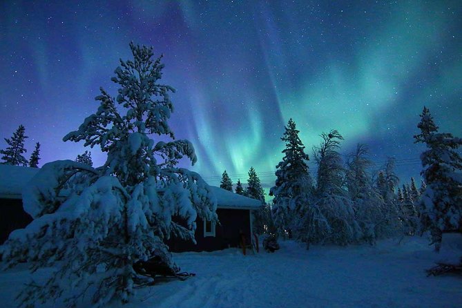 Snowmobile Aurora Expedition with dinner - Starting in central Kiruna