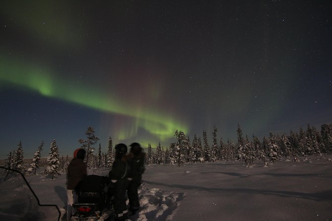 Snowmobile Aurora Expedition with dinner - Who will enjoy this most?
