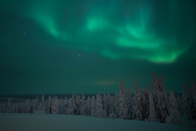 Snowmobile Safari to Search for the Northern Lights - Safety, licenses, and the damage charge