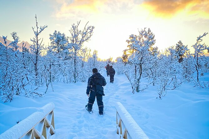 Snowshoeing with Aurora Crystal-Lavvo Overnight Stay from Tromsø - From Tromsø to Nord-Lenangen by bus and ferry