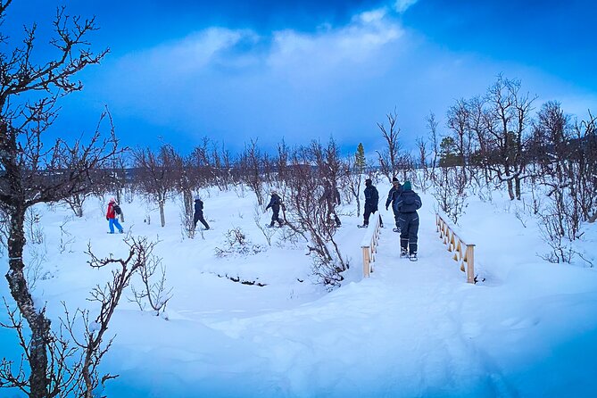 Snowshoeing with Aurora Crystal-Lavvo Overnight Stay from Tromsø - Dinner, the forecast, and your first look at the aurora