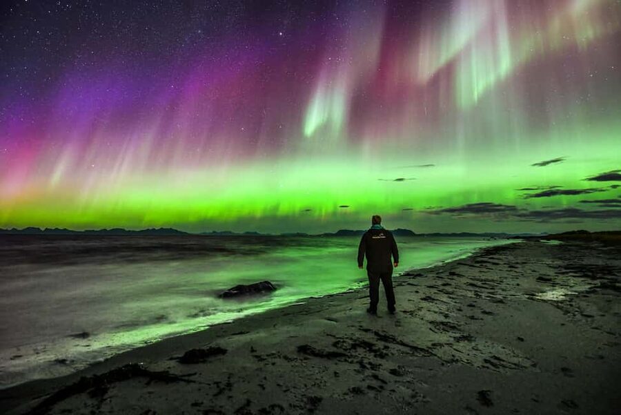 Sortland: Small Group Northern Lights Chase by Car - Photography help without losing the moment
