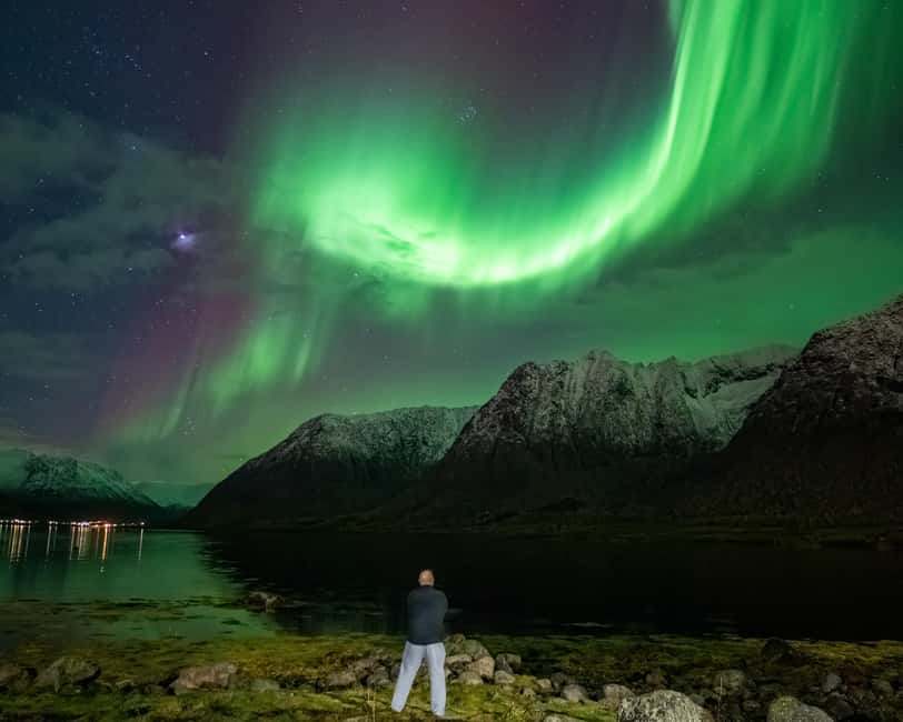 Sortland: Small Group Northern Lights Chase by Car - How much value do you get for $157?