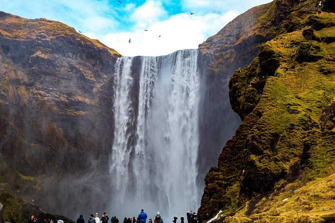 South Coast, Glacier Hike & Northern Lights from Reykjavik - Chasing the Northern Lights from Reykjavik