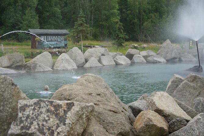 Spectacular Chena Hot Springs Northern Lights Experience - Key details before you book