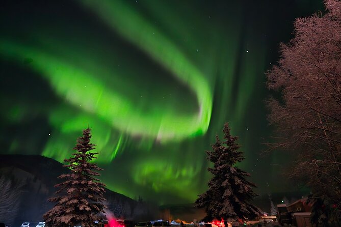 Spectacular Chena Hot Springs Northern Lights Experience - Dinner, campfires, and the long wait for dark skies