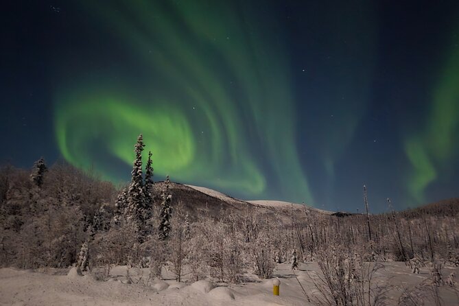 Spectacular Hot Spring Experience with Northern Lights - The Ice Museum: strange, beautiful, and fairly brief