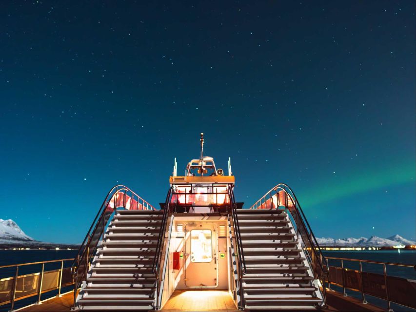 Svolvær: Northern Lights and Full Steam Cruise with Tasting - Should you book the Svolvær Full Steam cruise?