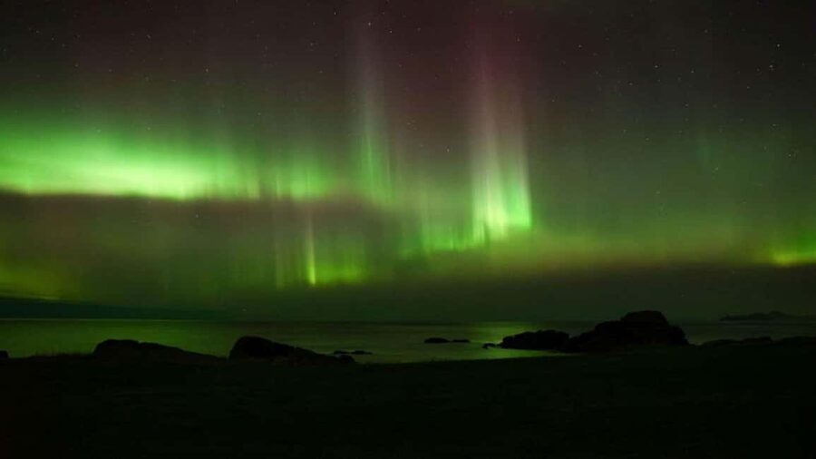 Svolvær: Northern Lights Tour with Hot Drinks & Photos - Chasing the Aurora With Live Forecasts