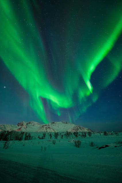 Svolvær: Ultimate Aurora Hunt - Who should book this Svolvær aurora tour?