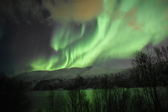 The Aurora Tour - small group, northern lights - Photography: a real strength when it works