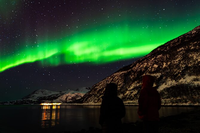 The Aurora Tour - small group, northern lights - Is $233.58 a fair price?