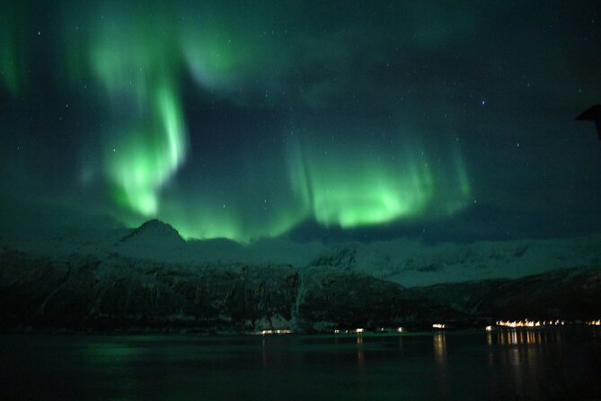 The Aurora Tour - VIP trip for northern lights, aurora borealis - A private Tromsø night begins at 7:00 p.m.