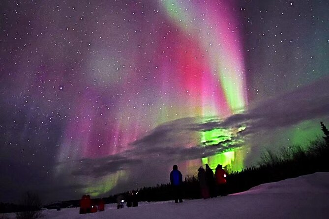 The Best Aurora Tour - Key points to know before you book