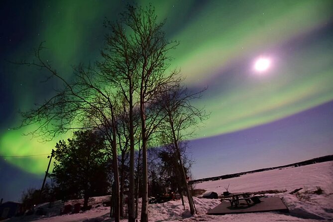 The Best Aurora Tour - Guides, communication, and the human side of the tour