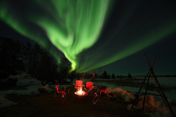The Best Aurora Tour - How much value do you get for $93.66?