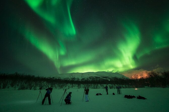 The Ultimate Aurora Photo Adventure - Group size, comfort, and cold-weather details