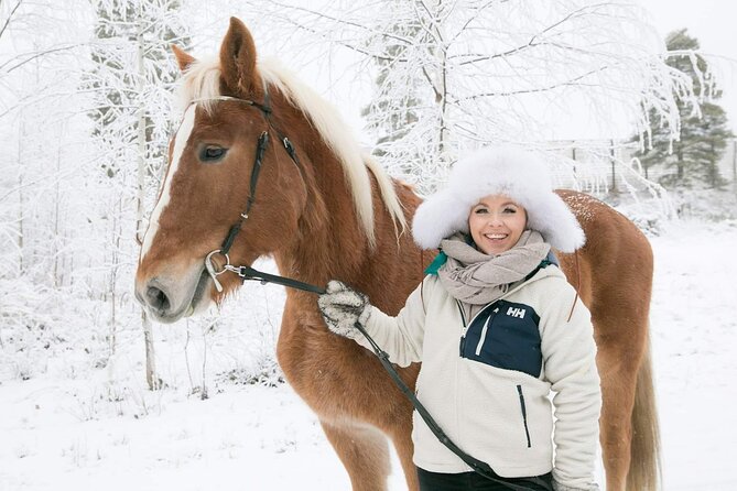 Tour to Aurora Horses Farm with Charming Finnhorses - A Gentle Horse Visit Near Santa Claus Village