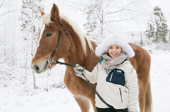 Tour to Aurora Horses Farm with Charming Finnhorses - Who Will Enjoy This 30-Minute Experience