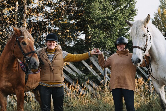 Tour to Aurora Horses Farm with Charming Finnhorses - Is $42.34 a Fair Price?