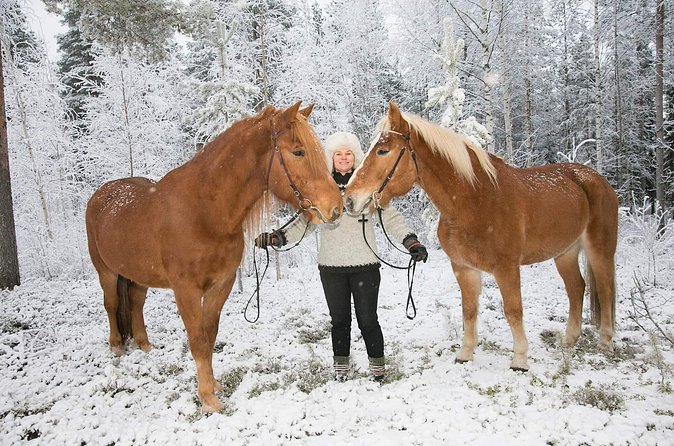 Tour to Aurora Horses Farm with Charming Finnhorses - Timing, Tickets, and Meeting Details