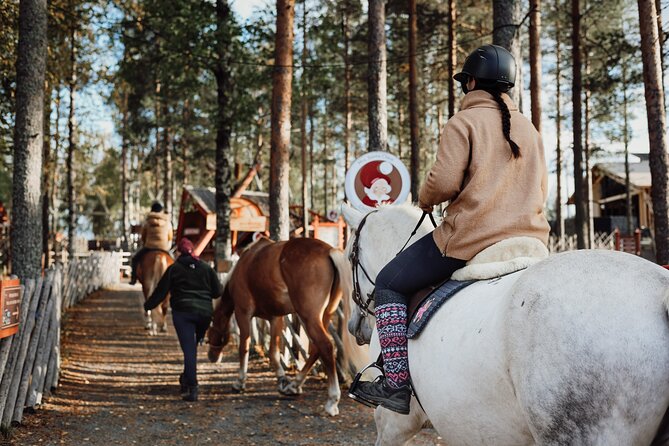Tour to Aurora Horses Farm with Charming Finnhorses - What the Experience Gets Right