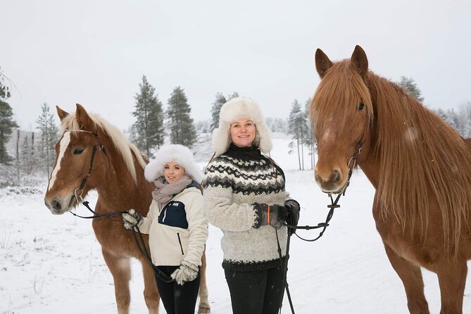 Tour to Aurora Horses Farm with Charming Finnhorses - Feeding and Grooming Before the Ride