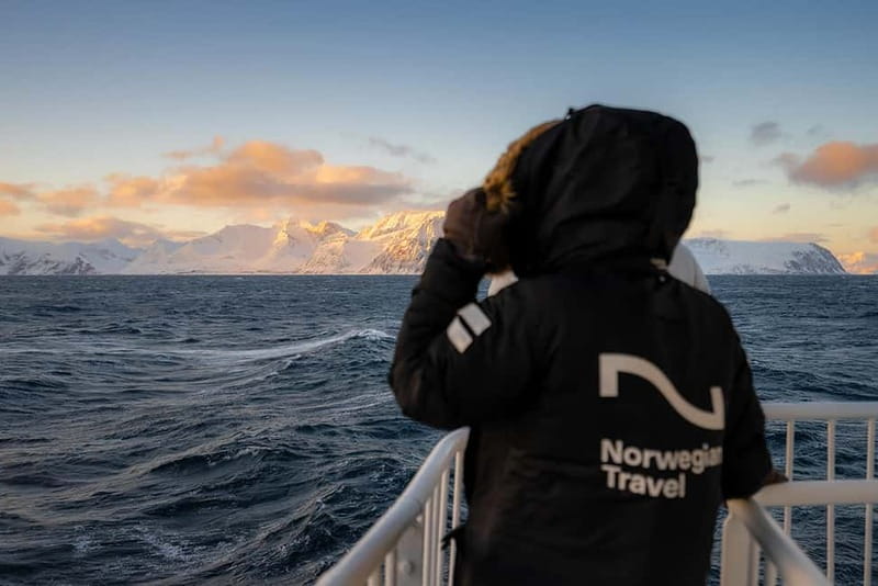 Tromsø: 24hr Northern Lights & Whale Watching Cruise - Should you book the MV Quest cruise?