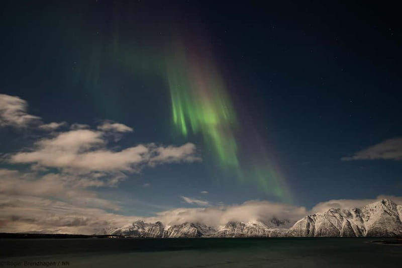 Tromsø: 24hr Northern Lights & Whale Watching Cruise - Dinner and the first Northern Lights watch