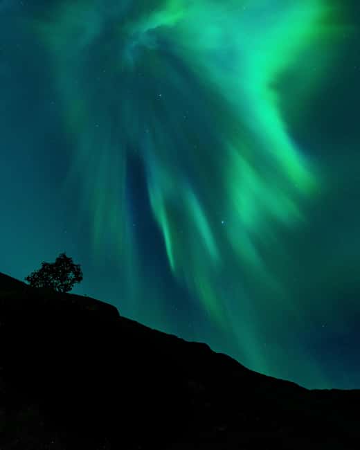 Tromsø: A Sámi Survival Story and Aurora Hunt - The Sámi stories begin on the road