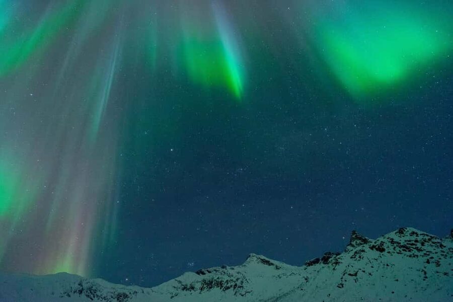 Tromsø: A Sámi Survival Story and Aurora Hunt - Food, hot chocolate, and a little Arctic hospitality