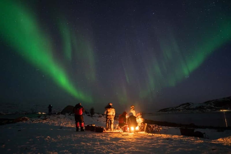 Tromsø: Adult Only Aurora hunt with Citizen Science - Key points at a glance