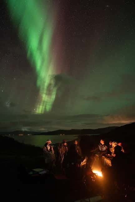 Tromsø: Adult Only Aurora hunt with Citizen Science - A small group makes the hunt more personal