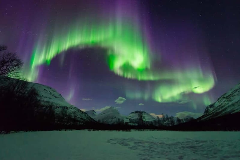 Tromsø: All inclusive Aurora Hunt with photos, food & drinks - Key details before you book