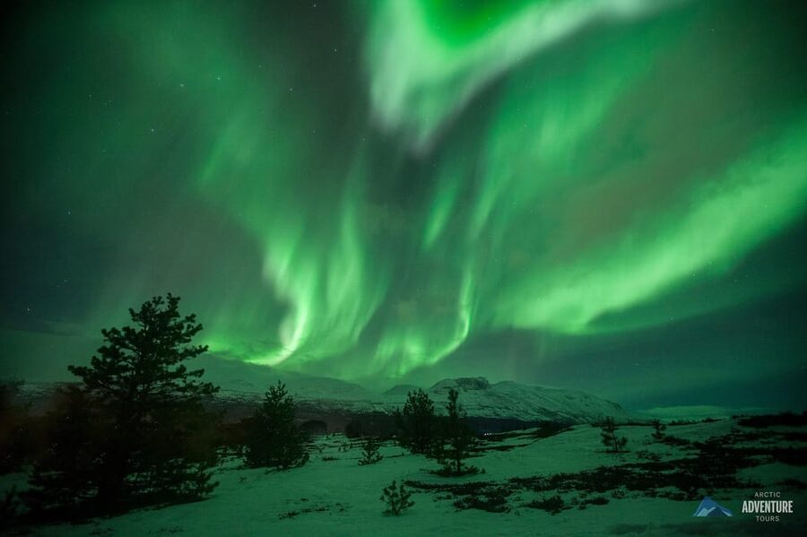 Tromsø: All-Inclusive Northern Lights Hunt - The real value of the $220 price