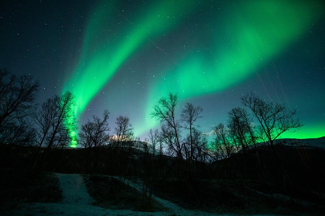 Tromso Aurora Chase by Minibus with Thermal Suit, Snack and Photo - Photography: useful, but clarify what you receive