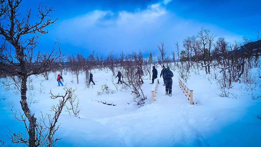Tromsø: Aurora Crystal Lavvo Experience with Snowshoeing - Who will enjoy this experience most?