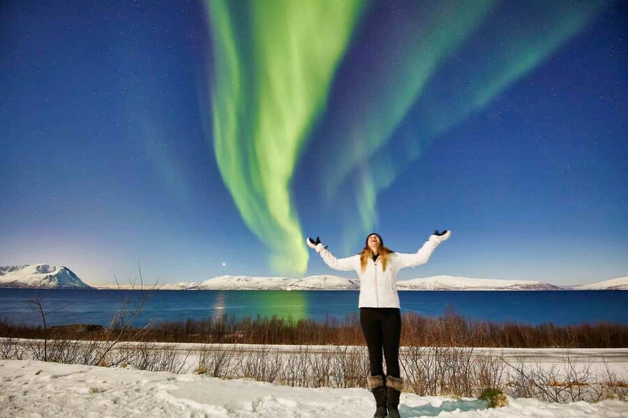 Tromsø: Aurora Crystal Lavvo Experience with Snowshoeing - Food and dietary needs