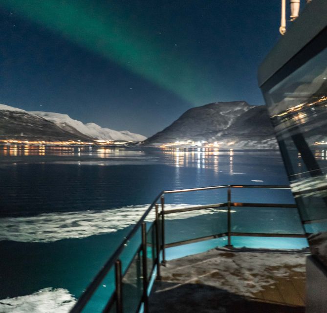 Tromsø: Aurora Dinner Cruise by Hybrid-Electric Catamaran - Who should book this cruise?