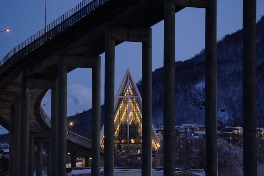 Tromsø: Aurora Dinner Cruise by Hybrid-Electric Catamaran - Food tasting: seafood with a northern accent
