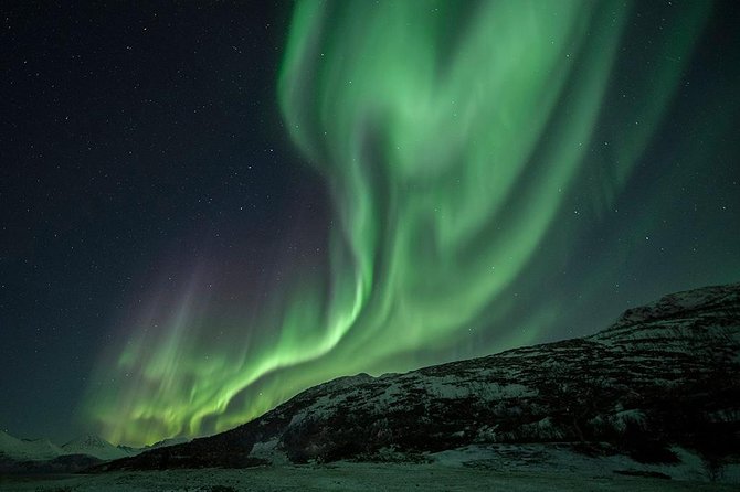 Tromso Aurora Hunt with Bonfire, Soup, Winter Gear & Transfers - Thermal suits help, but they do not replace proper clothing