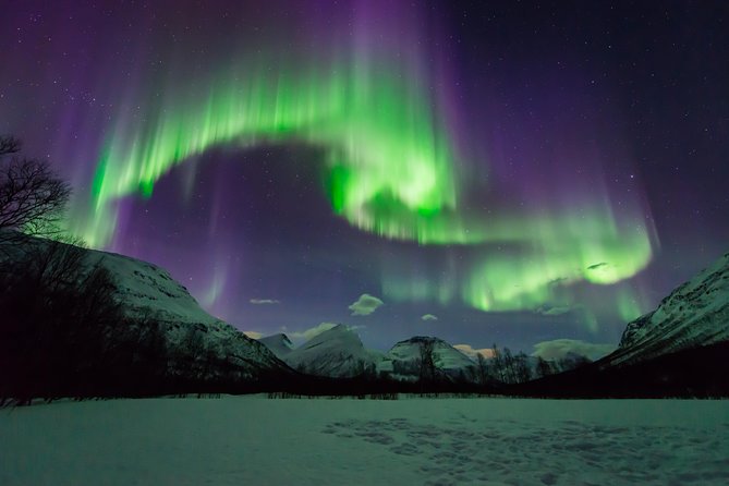 Tromso Aurora Hunt with Bonfire, Soup, Winter Gear & Transfers - Guides add more than directions to the sky