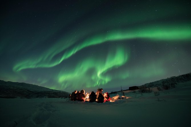 Tromso Aurora Hunt with Bonfire, Soup, Winter Gear & Transfers - The bonfire camp gives the evening a welcome center