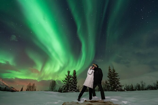 Tromsø: Aurora Magic Northern Lights Tour with Photos - The Northern Lights are never guaranteed